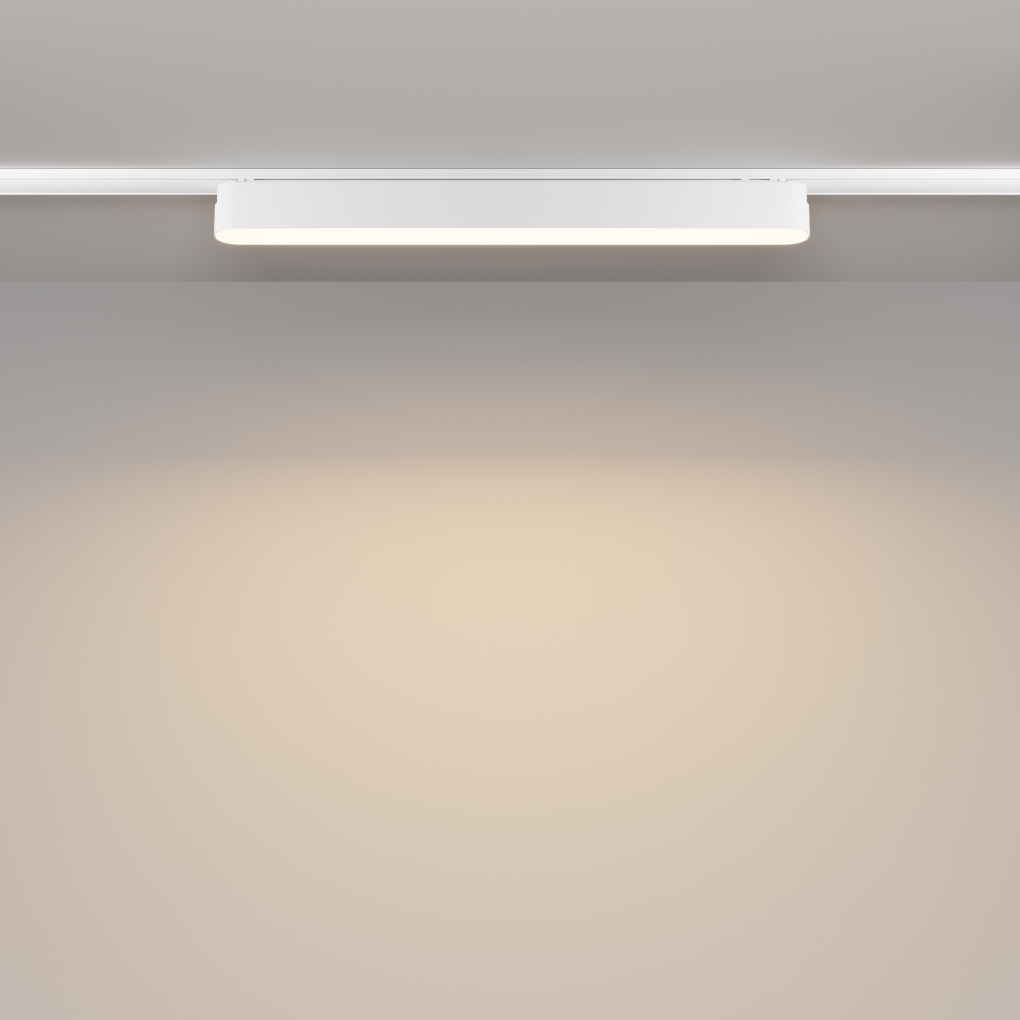 картинка Трековый светильник Technical TR080-1-18W3K-W магазин pro-decor.kz являющийся официальным дистрибьютором в Казахстане картинка Трековый светильник Technical TR080-1-18W3K-W от магазина pro-decor.kz