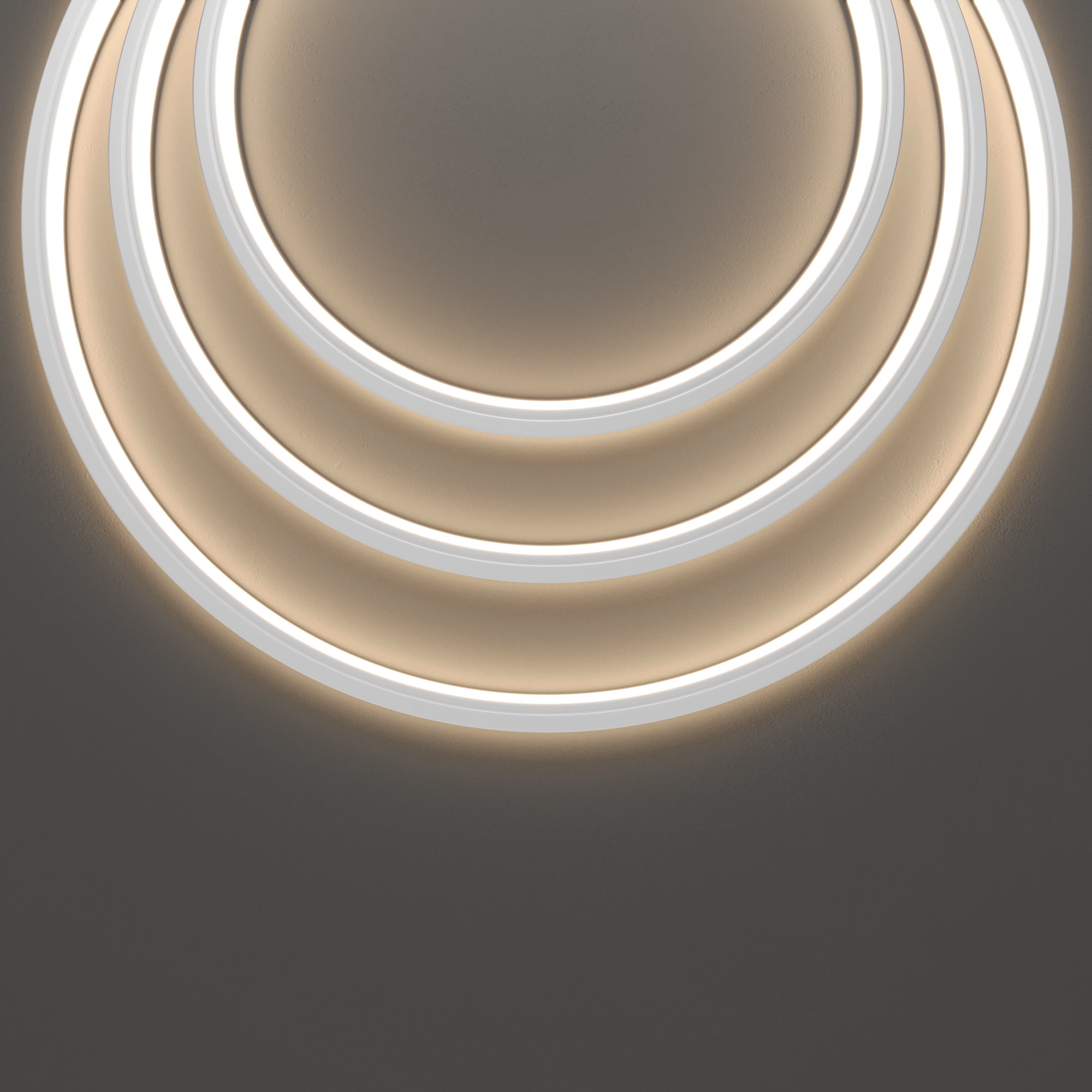 картинка Гибкий неон Led Strip 432016 от магазина pro-decor.kz