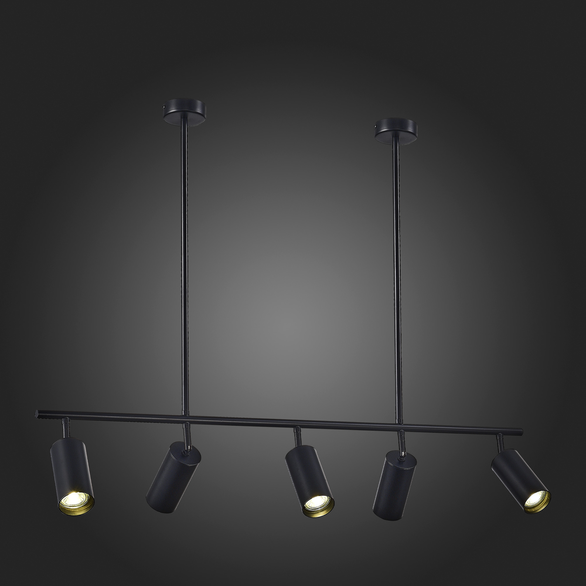 картинка SL1206.403.05 Светильник подвесной ST-Luce /  *W от магазина pro-decor.kz