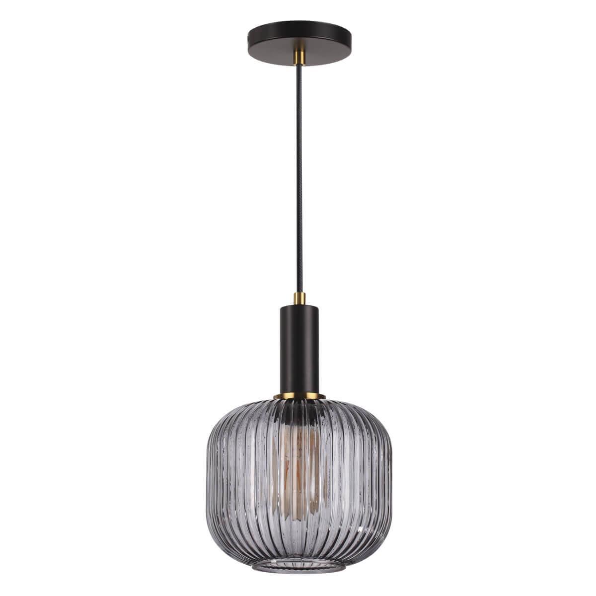 картинка Подвесной светильник Lumion Suspentioni Merlin 4451/1 от магазина pro-decor.kz