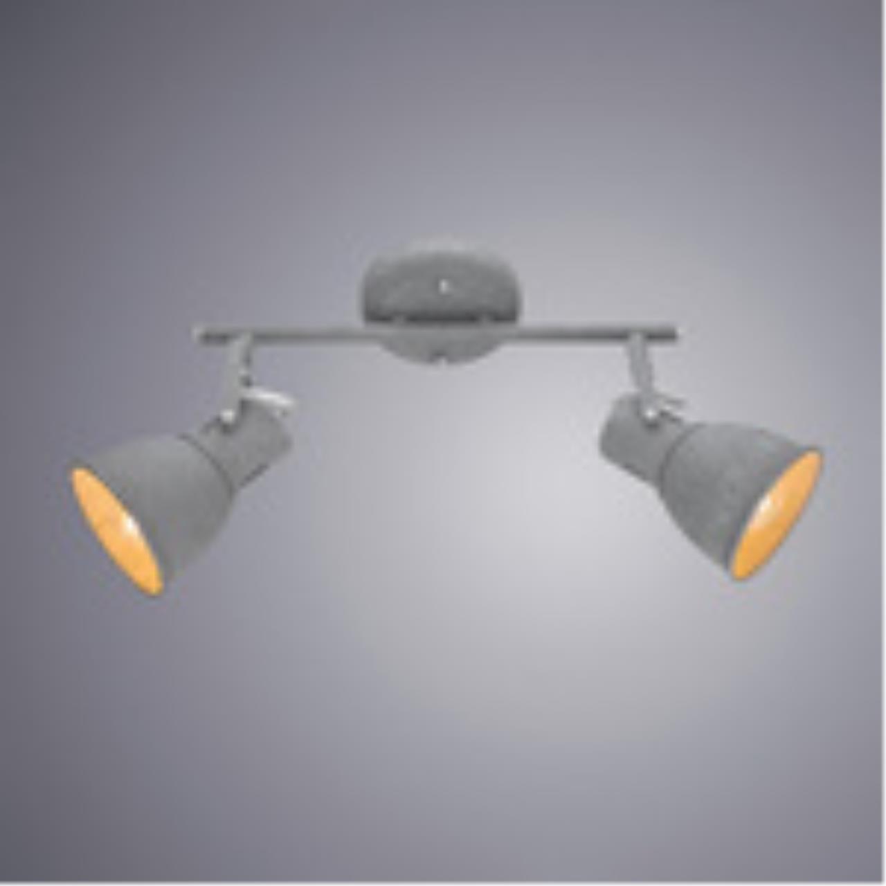 картинка Спот Arte Lamp A1677PL-2GY от магазина pro-decor.kz