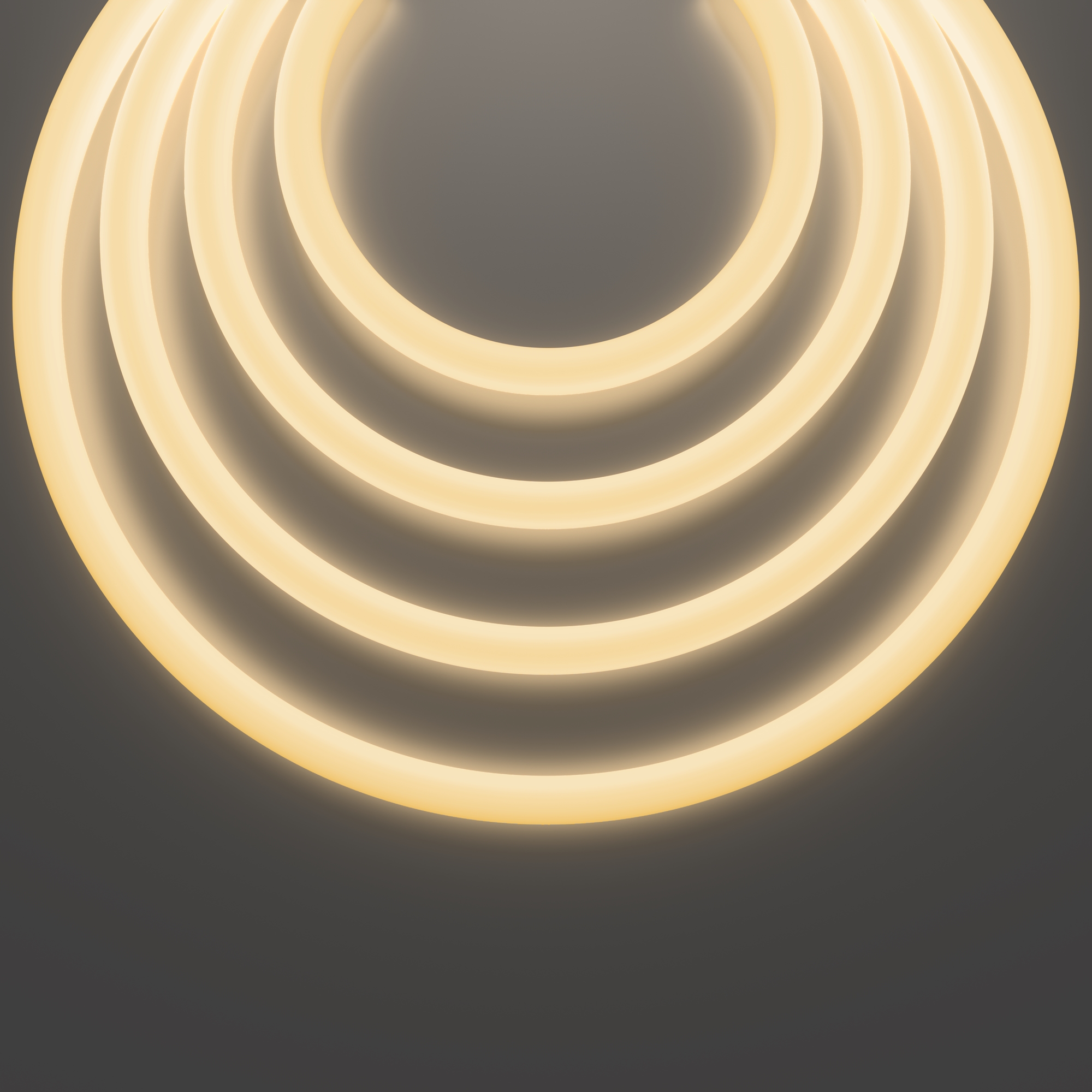 картинка Гибкий неон Led Strip 20306 от магазина pro-decor.kz