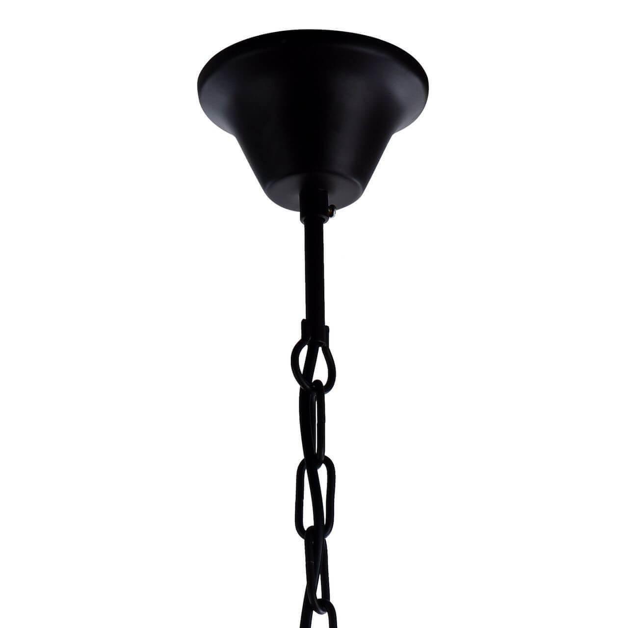 картинка Подвесной светильник Favourite Brook 1785-1P от магазина pro-decor.kz