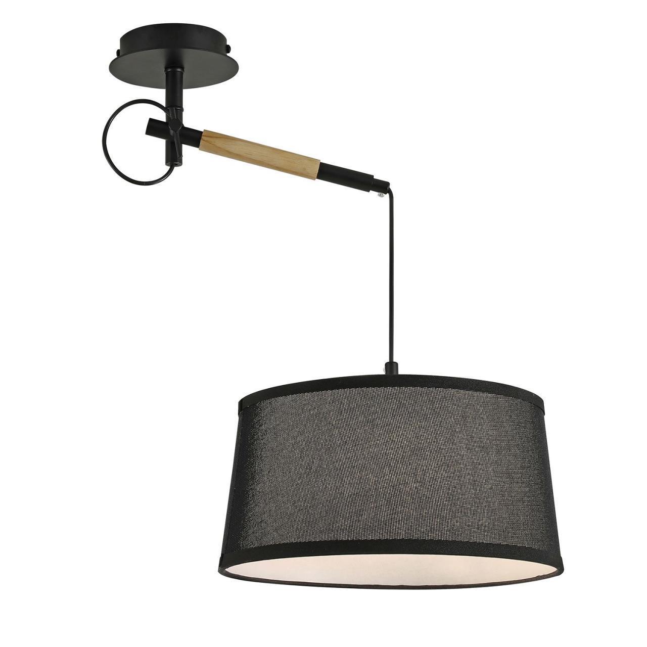 картинка Настенно-потолочный светильник Eureka 3006-1P магазин pro-decor.kz являющийся официальным дистрибьютором в Казахстане картинка Настенно-потолочный светильник Eureka 3006-1P от магазина pro-decor.kz