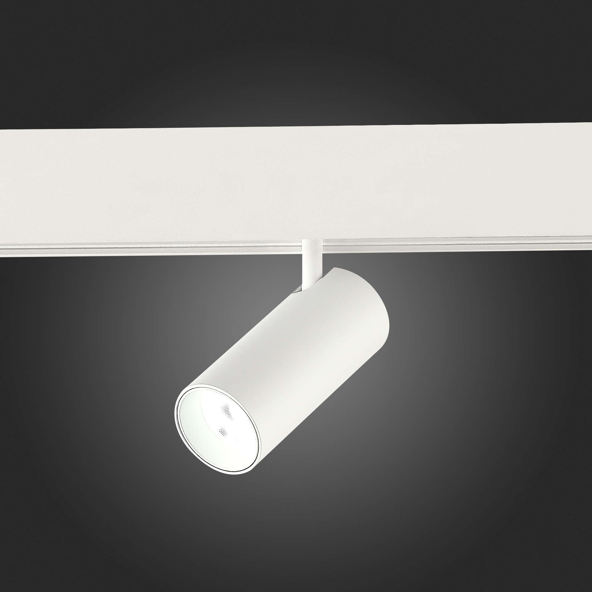 картинка ST375.506.07 Магнитный трековый светильник SMART Белый LED 1*7W 2700K-6500K 630Lm Ra90 36° IP20 L100xW45xH85 48V магазин pro-decor.kz являющийся официальным дистрибьютором в Казахстане картинка ST375.506.07 Магнитный трековый светильник SMART Белый LED 1*7W 2700K-6500K 630Lm Ra90 36° IP20 L100xW45xH85 48V от магазина pro-decor.kz