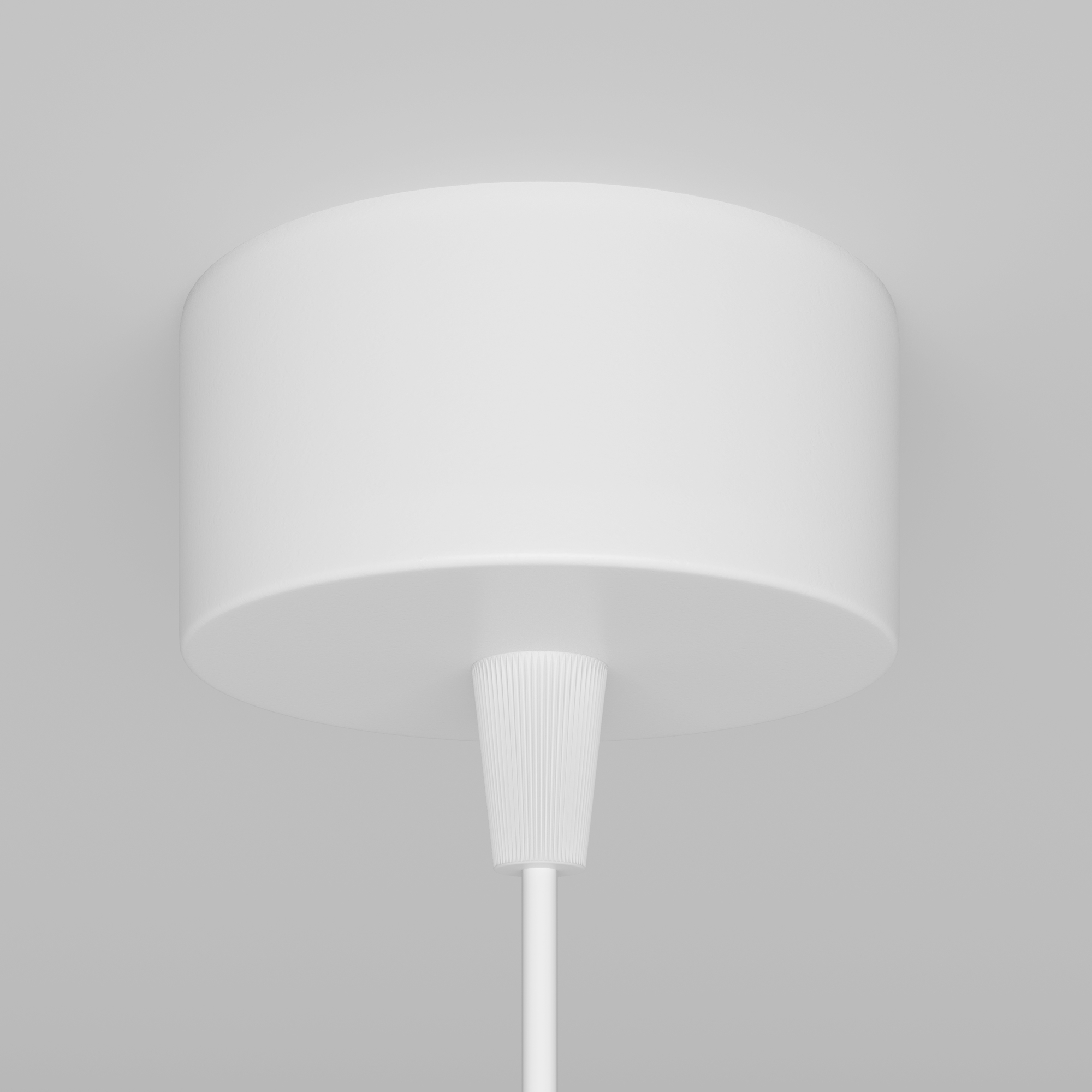 картинка Подвесной светильник Technical P075PL-01W магазин pro-decor.kz являющийся официальным дистрибьютором в Казахстане картинка Подвесной светильник Technical P075PL-01W от магазина pro-decor.kz