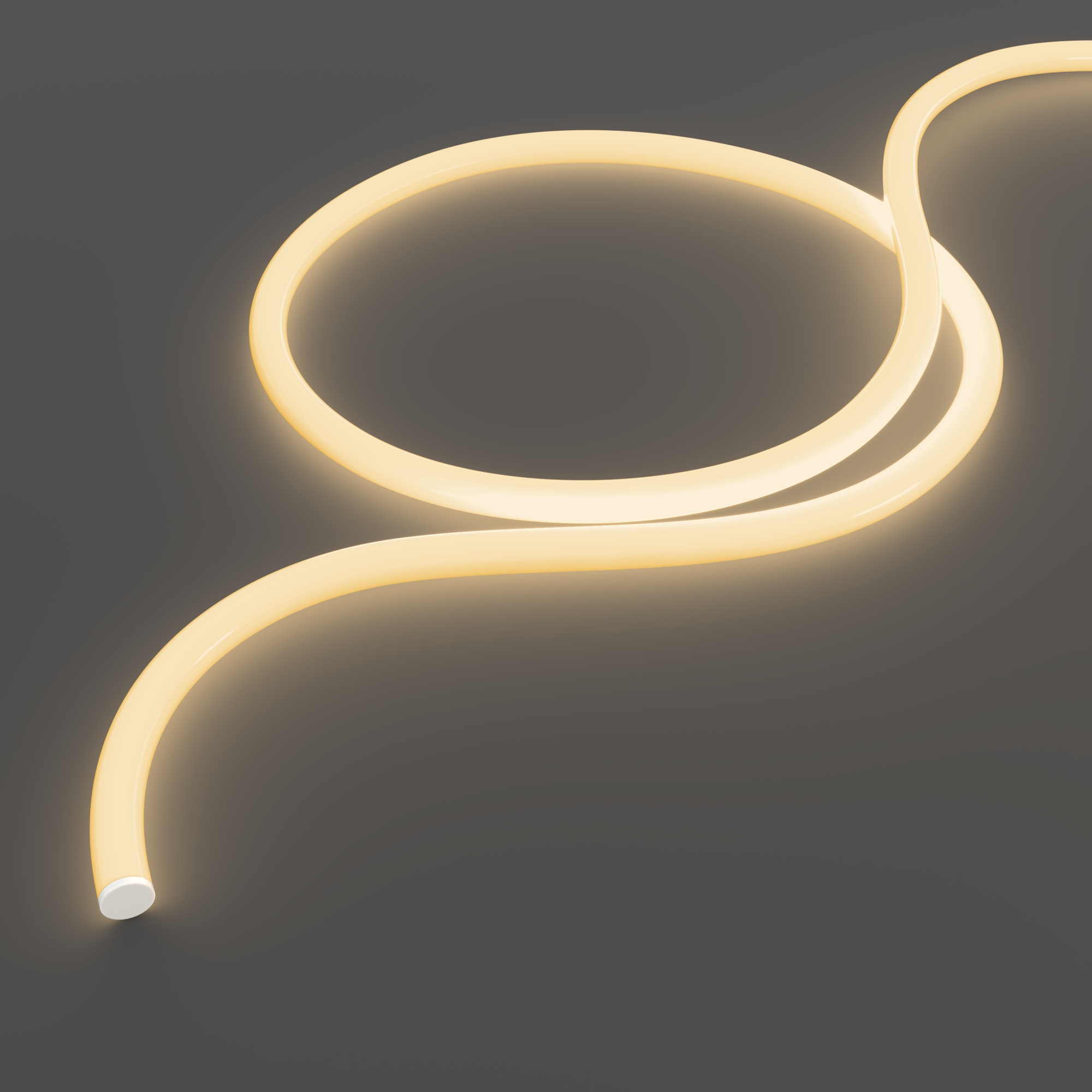 картинка Гибкий неон Led Strip 20304 от магазина pro-decor.kz