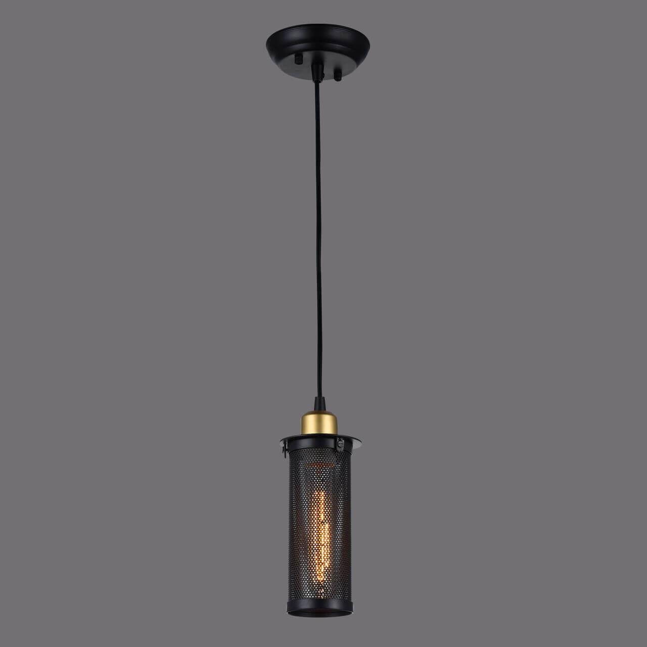 картинка Подвесной светильник Favourite Strainer 1788-1P магазин pro-decor.kz являющийся официальным дистрибьютором в Казахстане картинка Подвесной светильник Favourite Strainer 1788-1P от магазина pro-decor.kz