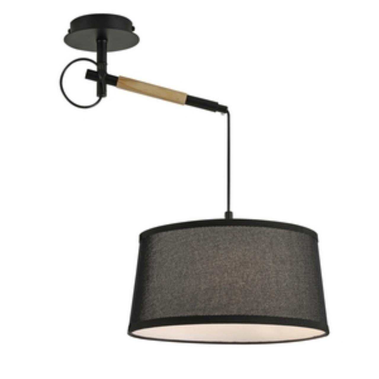 картинка Настенно-потолочный светильник Eureka 3006-1P магазин pro-decor.kz являющийся официальным дистрибьютором в Казахстане картинка Настенно-потолочный светильник Eureka 3006-1P от магазина pro-decor.kz