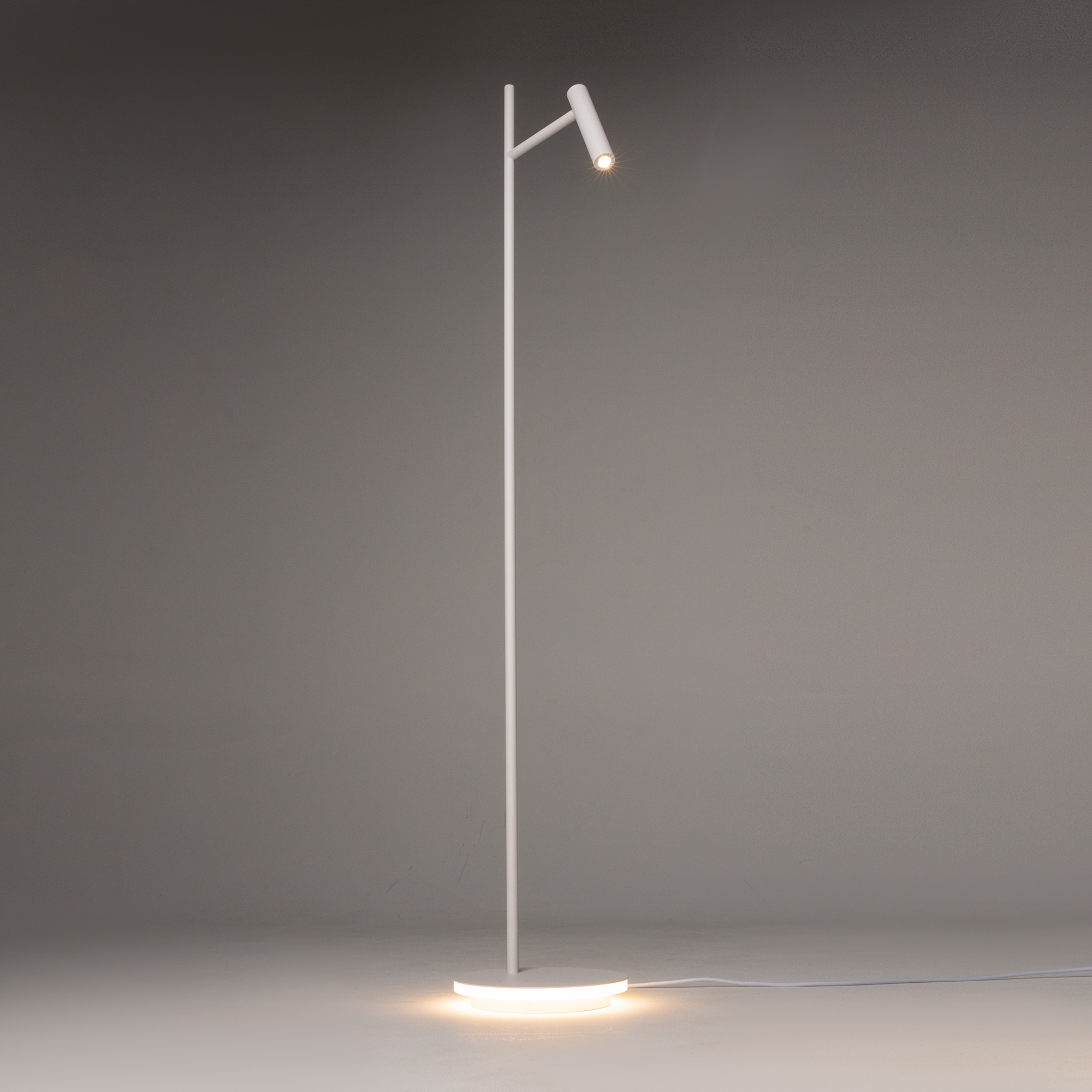 картинка Торшер Maytoni Estudo Z010FL-L8W3K от магазина pro-decor.kz