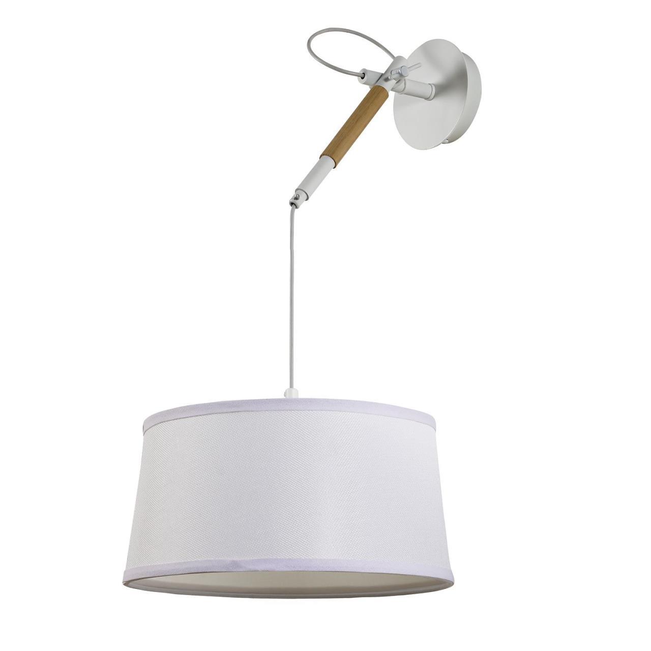 картинка Настенно-потолочный светильник Eureka 3005-1P магазин pro-decor.kz являющийся официальным дистрибьютором в Казахстане картинка Настенно-потолочный светильник Eureka 3005-1P от магазина pro-decor.kz