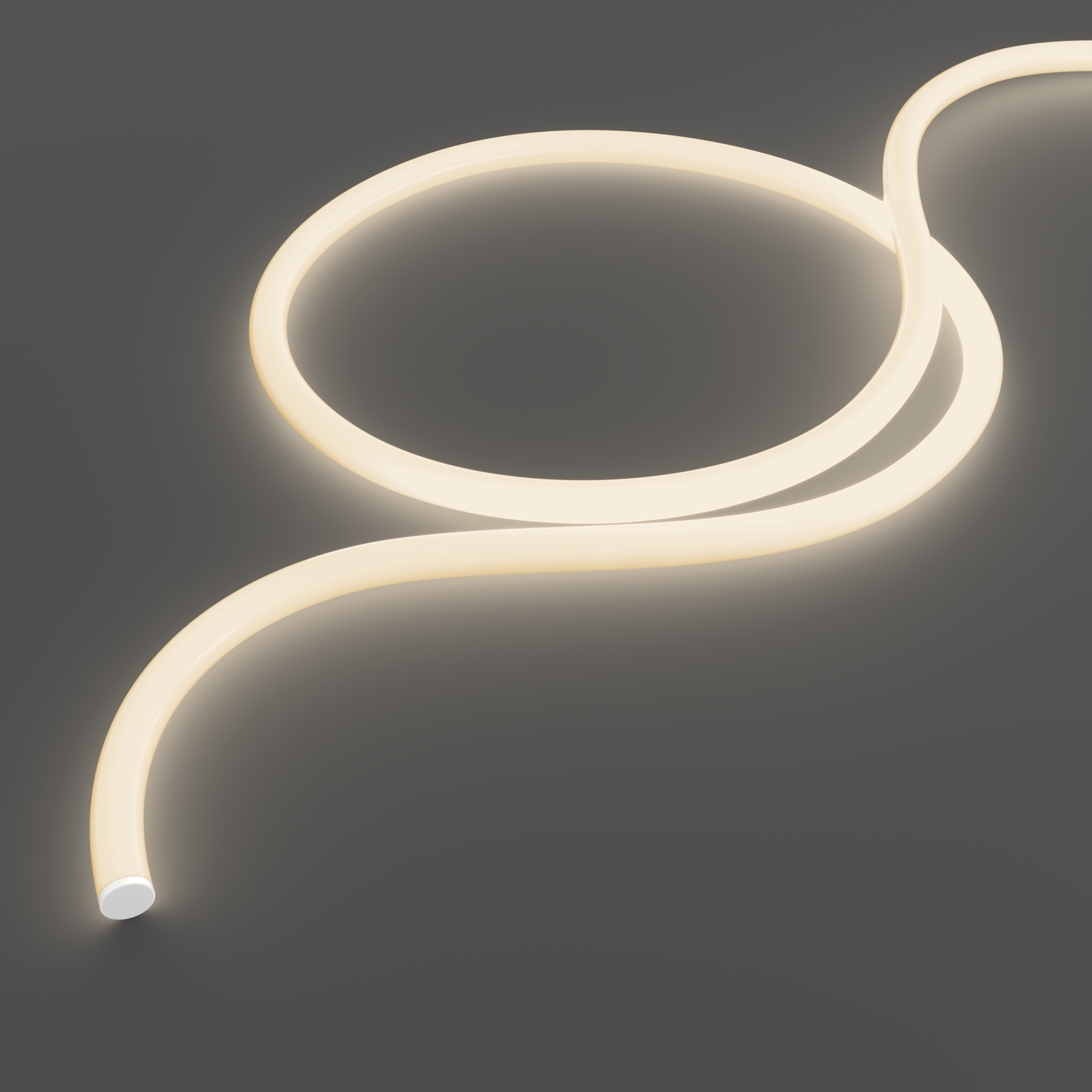 картинка Гибкий неон Led Strip 20305 от магазина pro-decor.kz