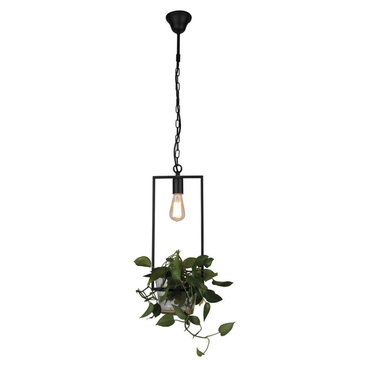 картинка Подвесной светильник Favourite Situla 1975-1P от магазина pro-decor.kz