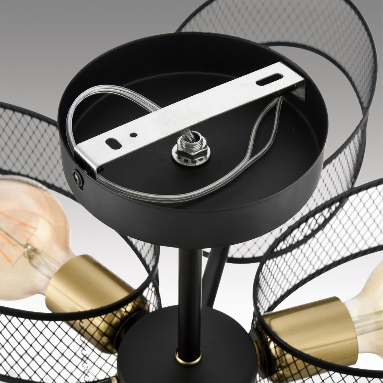 картинка 8153/6C Lumion Люстра VIVANA магазин pro-decor.kz являющийся официальным дистрибьютором в Казахстане картинка 8153/6C Lumion Люстра VIVANA от магазина pro-decor.kz