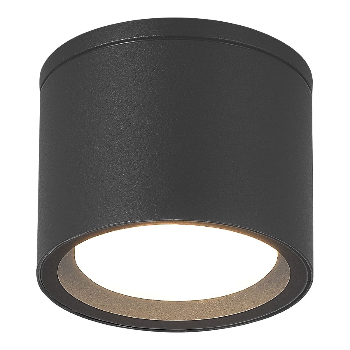 картинка SL9006.702.01 Светильник уличный потолочный ST-Luce TUBO от магазина pro-decor.kz