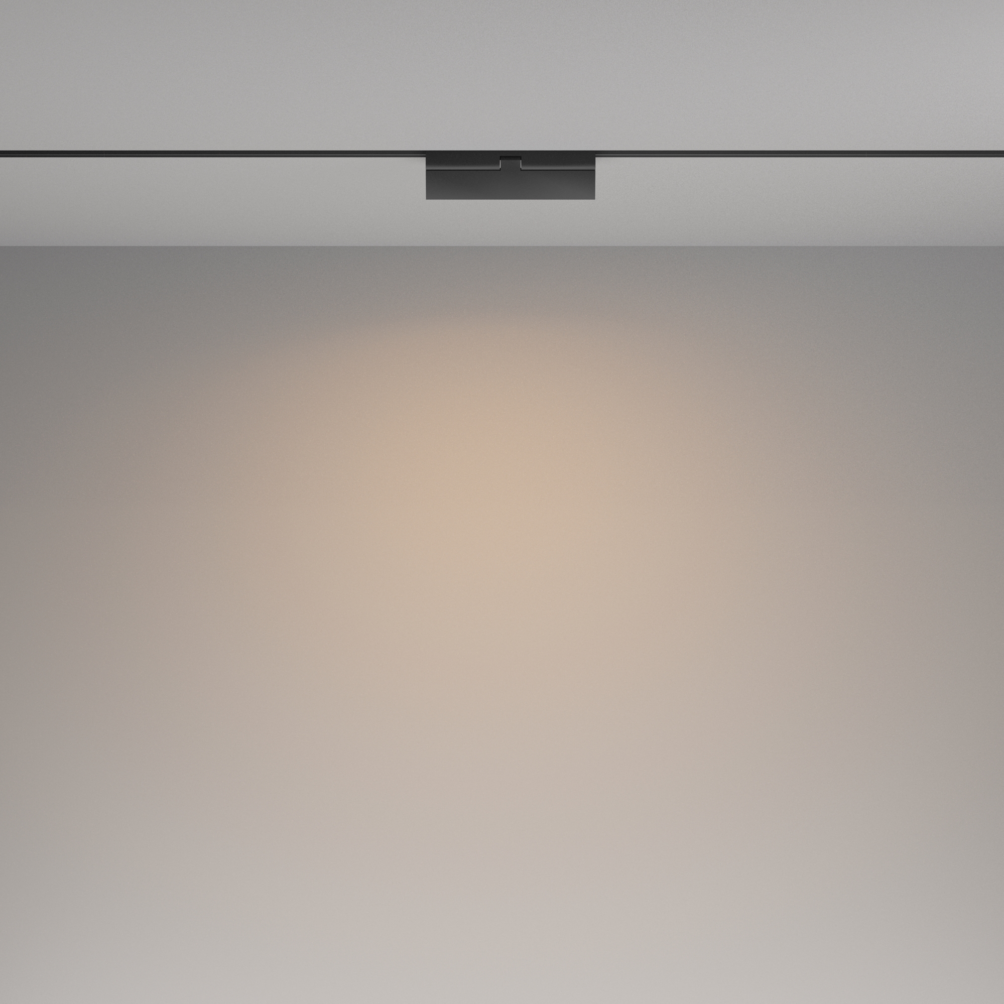 картинка Трековый светильник Technical TR036-2-12W3K-B магазин pro-decor.kz являющийся официальным дистрибьютором в Казахстане картинка Трековый светильник Technical TR036-2-12W3K-B от магазина pro-decor.kz
