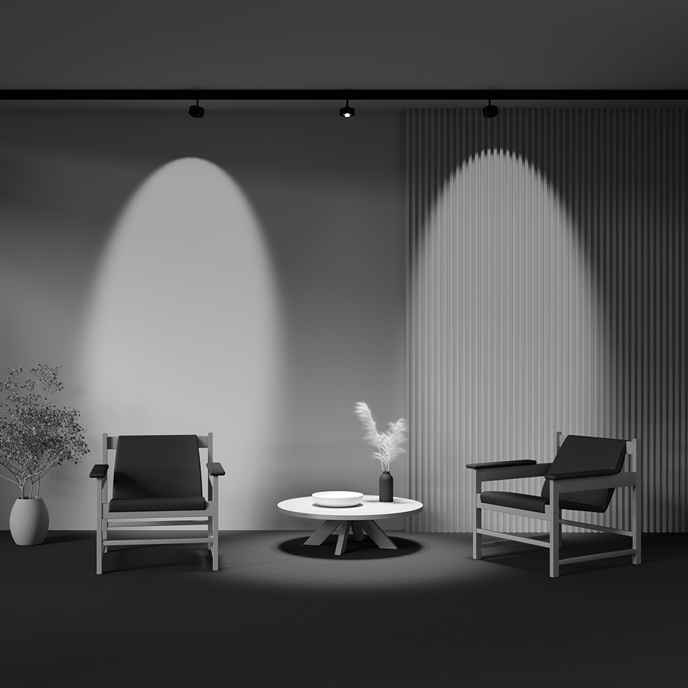 картинка Трековый светильник Technical TR217-2-15W4K-B магазин pro-decor.kz являющийся официальным дистрибьютором в Казахстане картинка Трековый светильник Technical TR217-2-15W4K-B от магазина pro-decor.kz