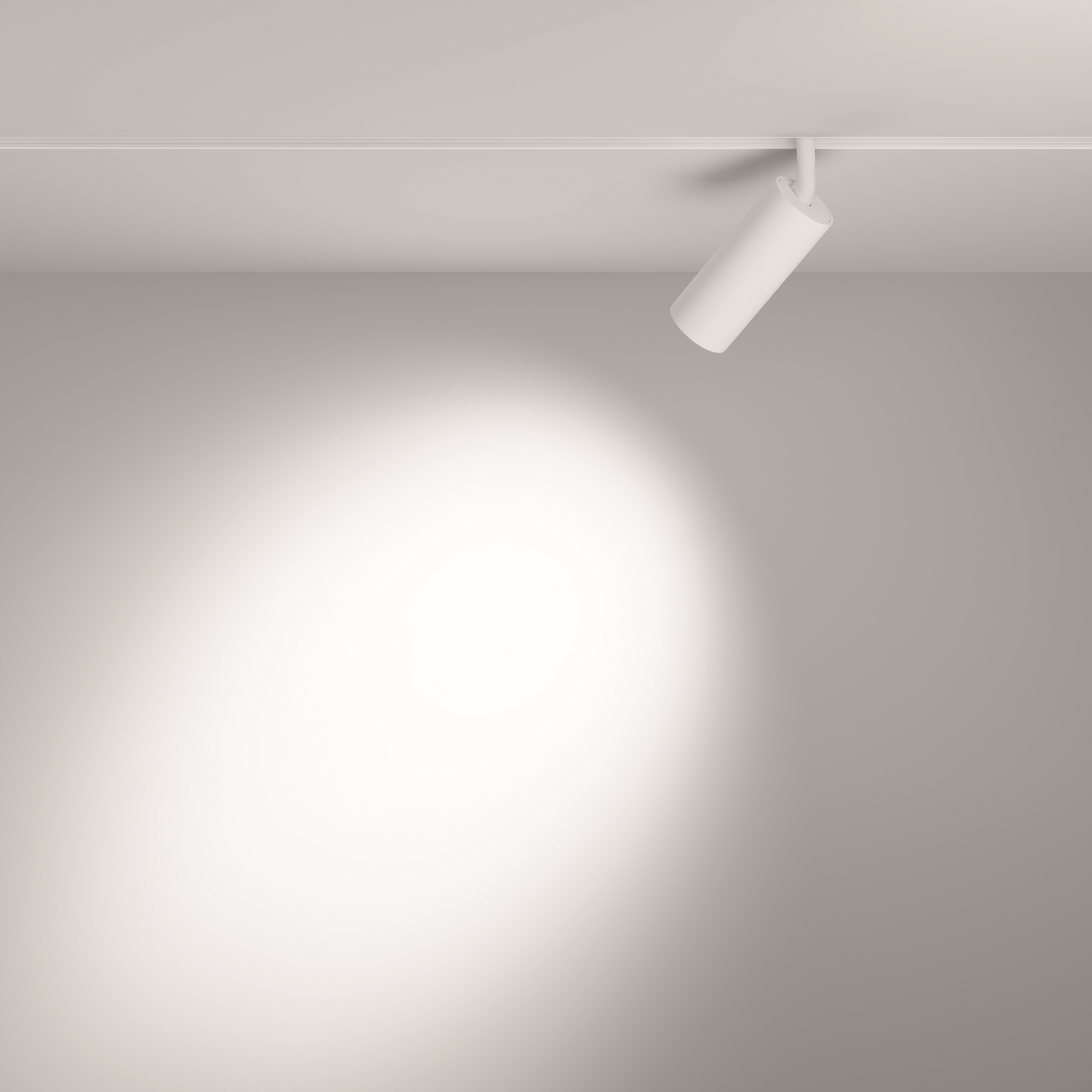 картинка Трековый светильник Technical TR032-2-12W3K-S-W магазин pro-decor.kz являющийся официальным дистрибьютором в Казахстане картинка Трековый светильник Technical TR032-2-12W3K-S-W от магазина pro-decor.kz
