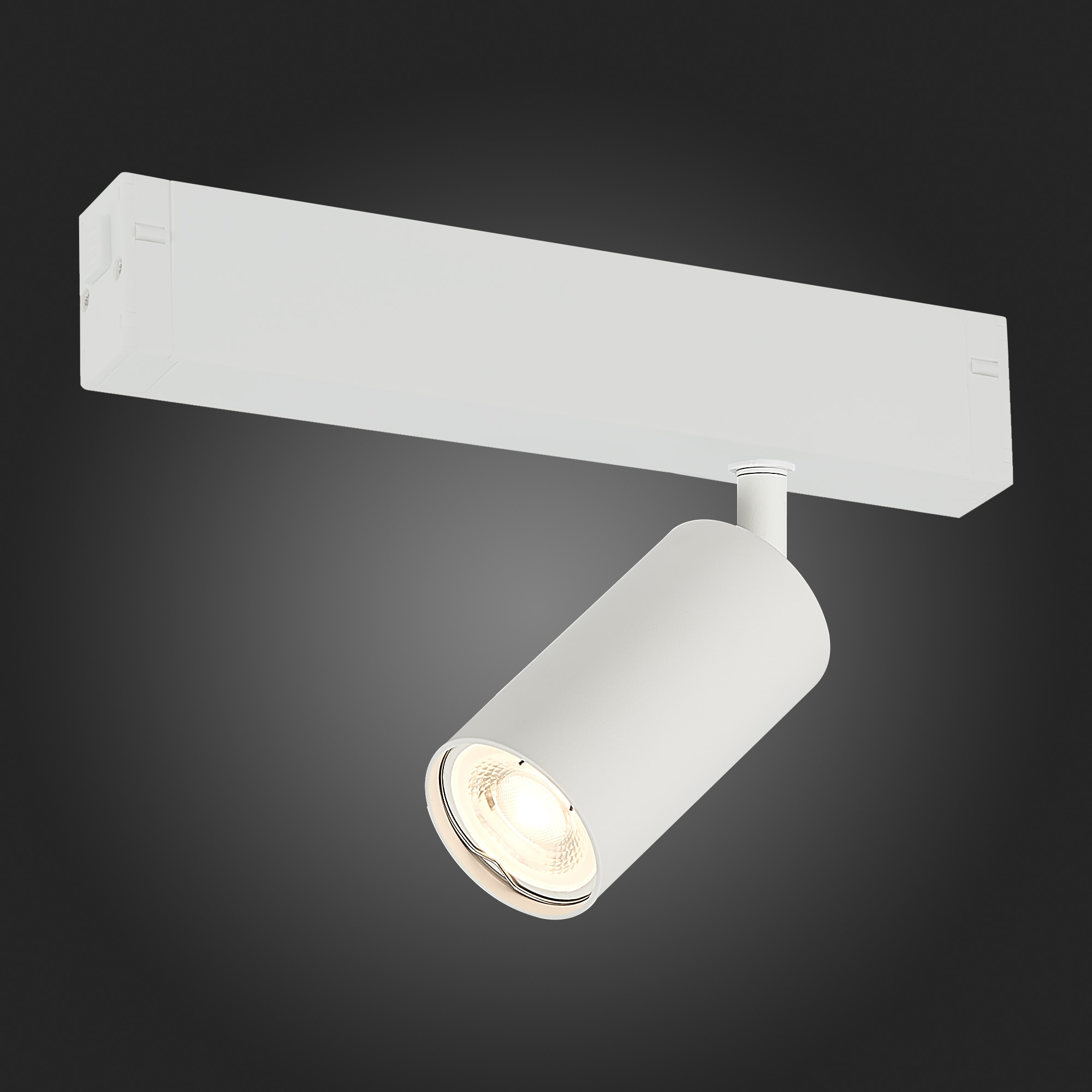 картинка ST503.506.01 Св-к трек. Мат. белый GU10 1*50W  IP20 L100xW54xH142 180-240V Без ламп SKYLINE 220 от магазина pro-decor.kz