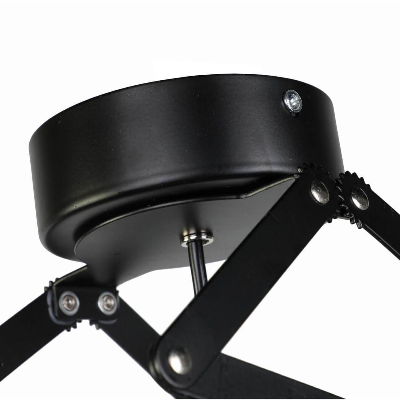 картинка Подвесной светодиодный светильник Favourite Limelight 2070-1U магазин pro-decor.kz являющийся официальным дистрибьютором в Казахстане картинка Подвесной светодиодный светильник Favourite Limelight 2070-1U от магазина pro-decor.kz