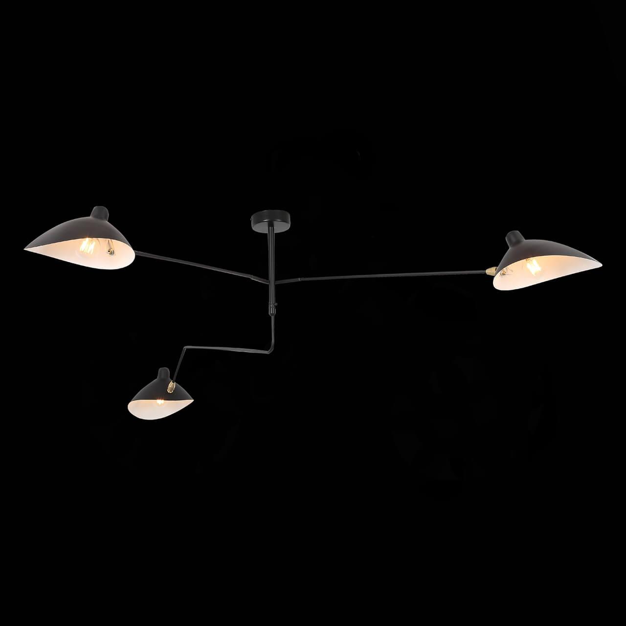 картинка Потолочная люстра ST Luce Spruzzo SL305.402.03 от магазина pro-decor.kz