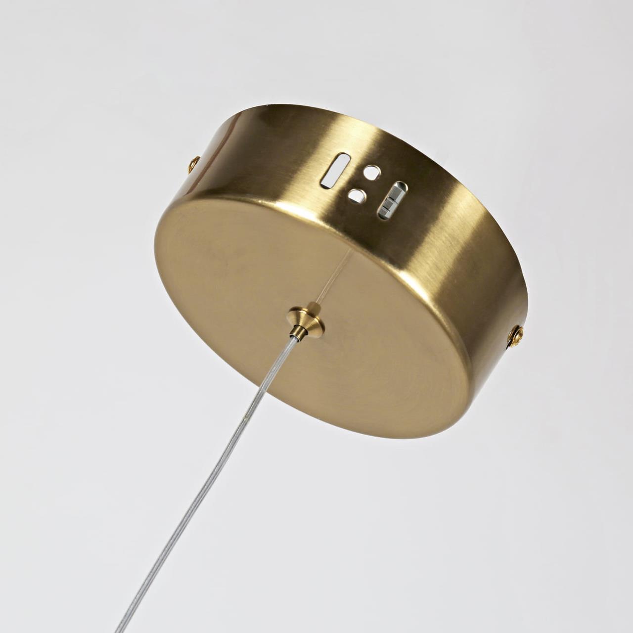 картинка Подвесной светодиодный светильник Favourite Conceptus 2642-1P от магазина pro-decor.kz