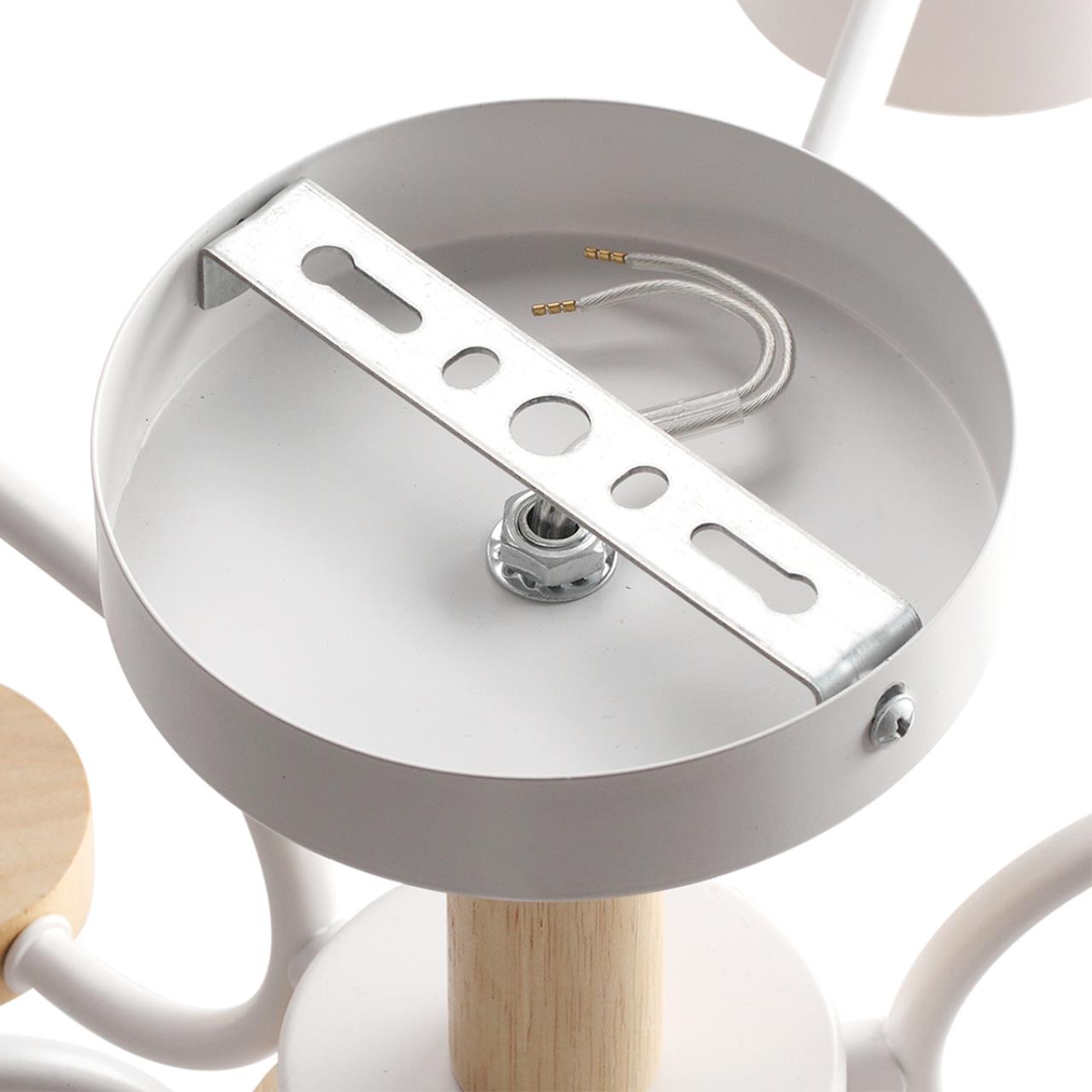 картинка 8231/6C Lumion Люстра потолочная RONDO магазин pro-decor.kz являющийся официальным дистрибьютором в Казахстане картинка 8231/6C Lumion Люстра потолочная RONDO от магазина pro-decor.kz