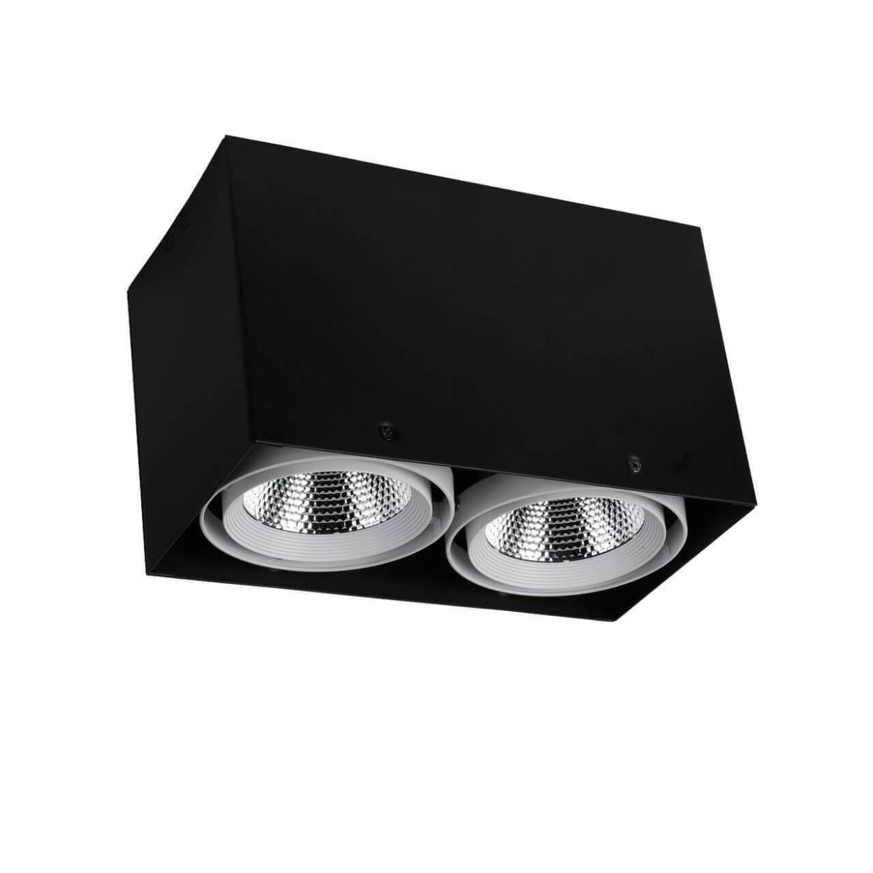 картинка Потолочный светодиодный светильник Favourite Flashled 1987-2U магазин pro-decor.kz являющийся официальным дистрибьютором в Казахстане картинка Потолочный светодиодный светильник Favourite Flashled 1987-2U от магазина pro-decor.kz