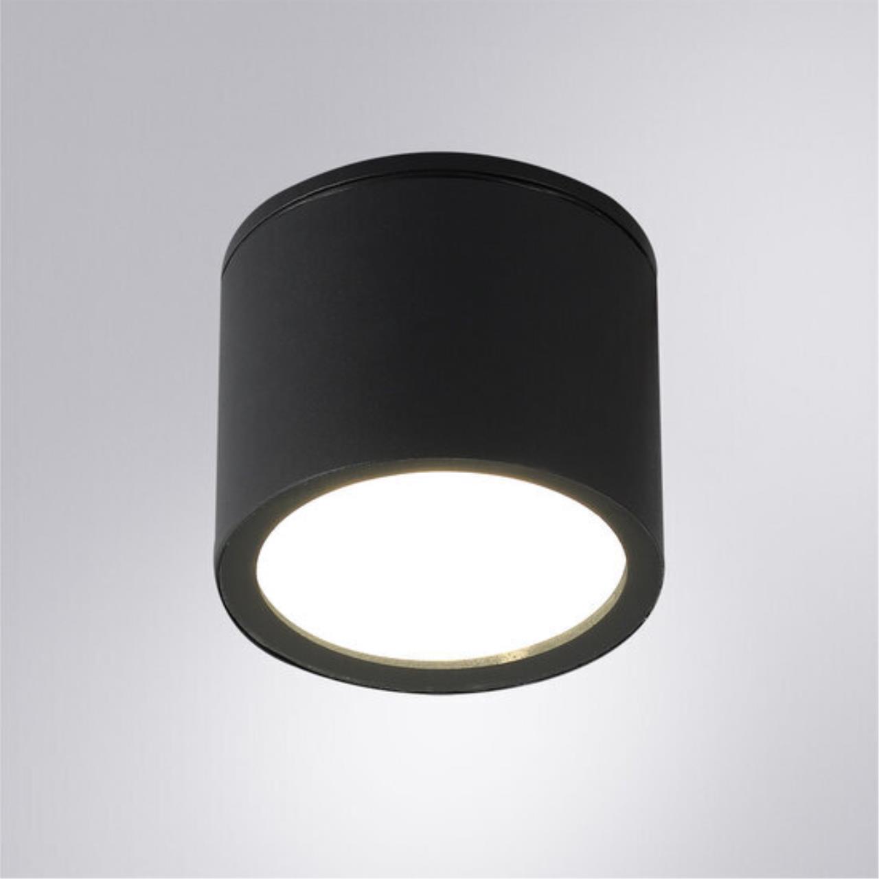 картинка Уличный потолочный светильник Arte Lamp PIAUTOS A1913PF-1BK от магазина pro-decor.kz