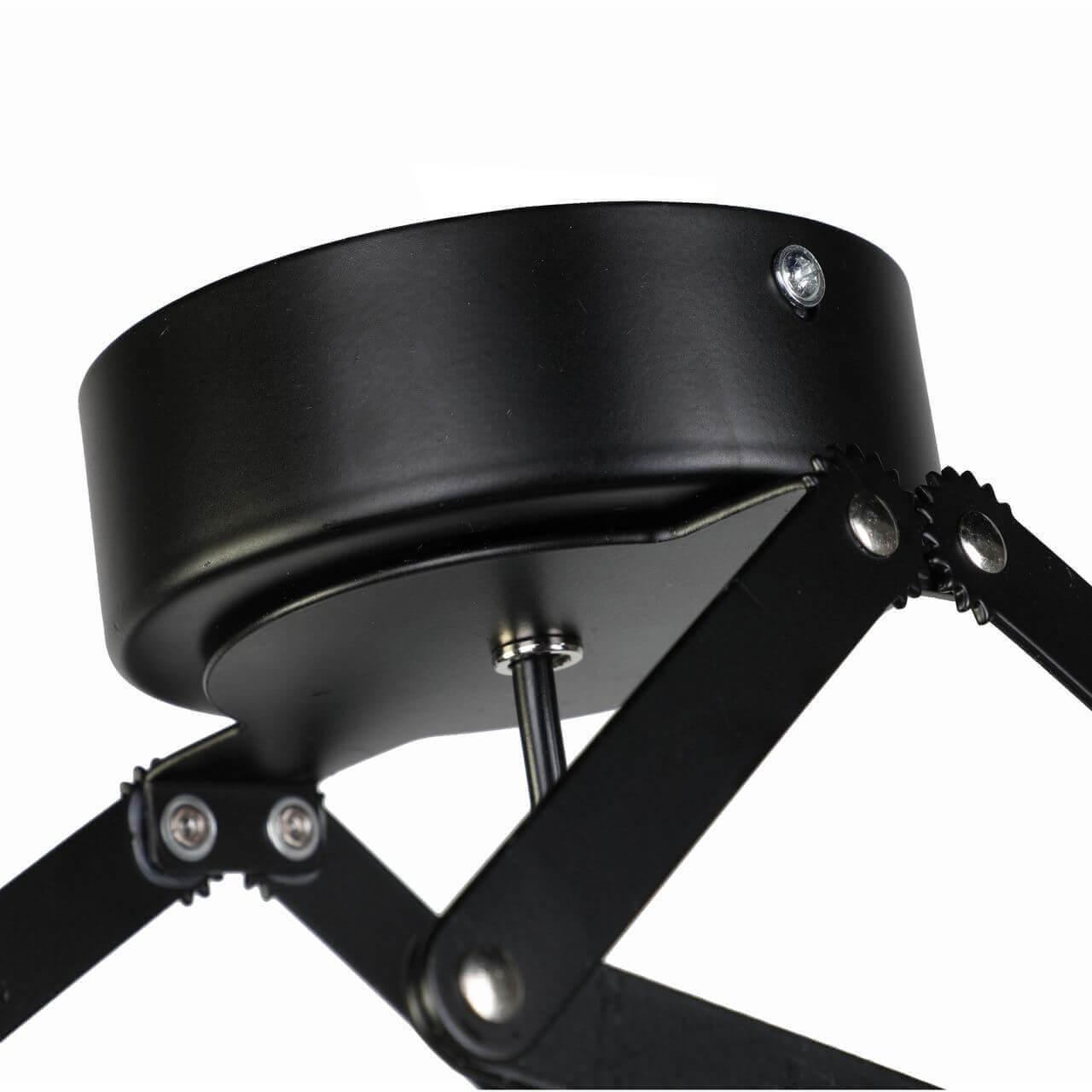 картинка Подвесной светильник Favourite Limelight 2069-1U от магазина pro-decor.kz