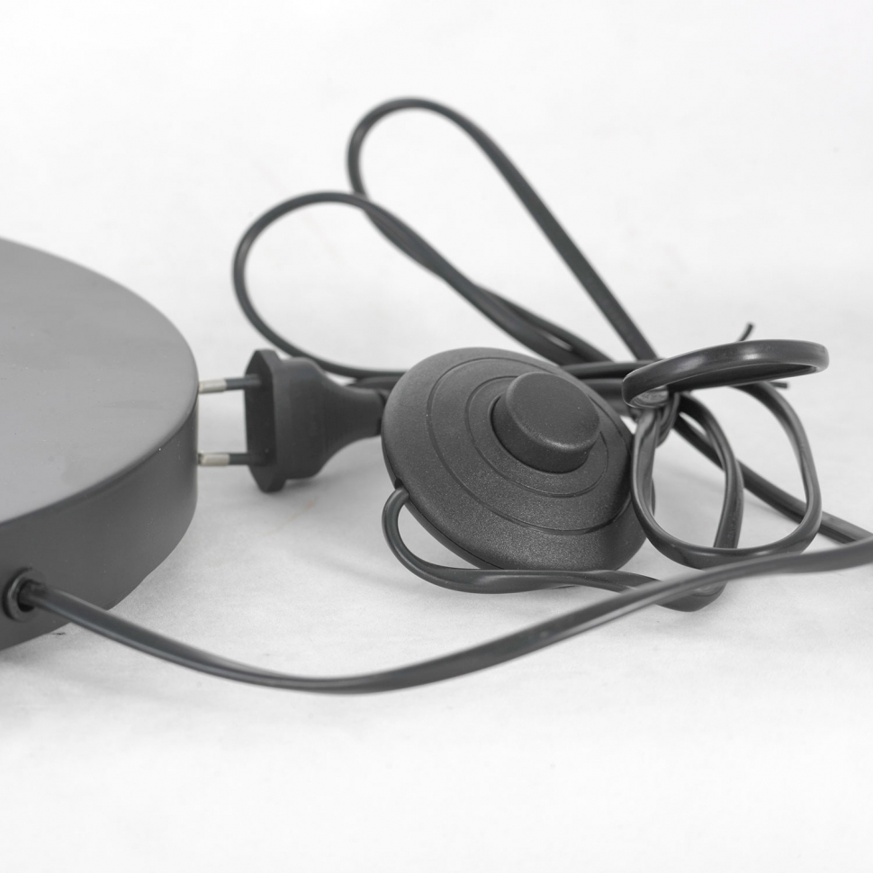 картинка Торшер Lussole LSP-0590 от магазина pro-decor.kz