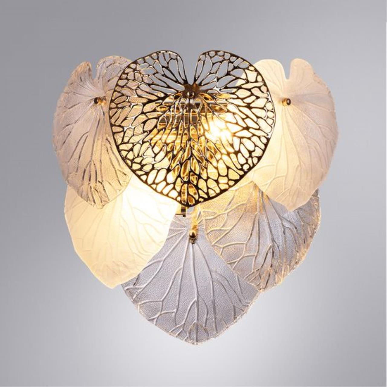 картинка Настенный светильник Arte Lamp KAPRI A4078AP-2GO от магазина pro-decor.kz