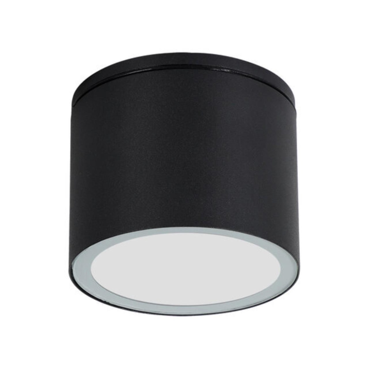 картинка Уличный потолочный светильник Arte Lamp PIAUTOS A1913PF-1BK от магазина pro-decor.kz