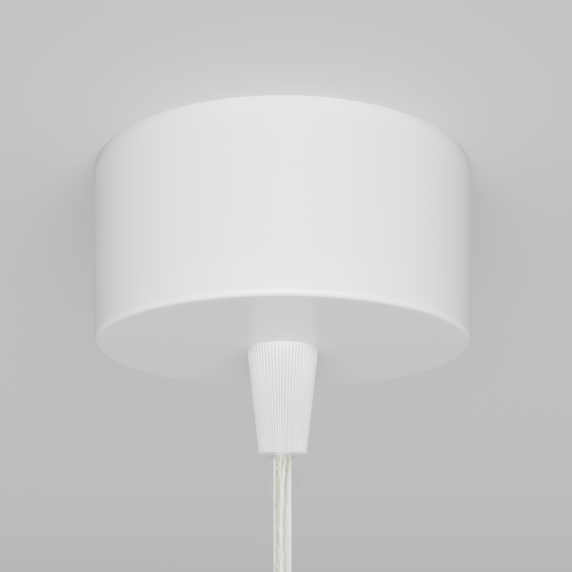 картинка Подвесной светильник Technical P075PL-01W магазин pro-decor.kz являющийся официальным дистрибьютором в Казахстане картинка Подвесной светильник Technical P075PL-01W от магазина pro-decor.kz