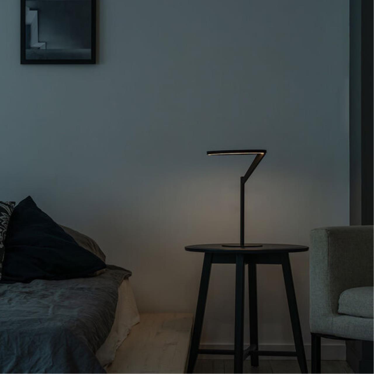 картинка Настольная лампа SOLE Divinare 3234/06 TL-1 от магазина pro-decor.kz