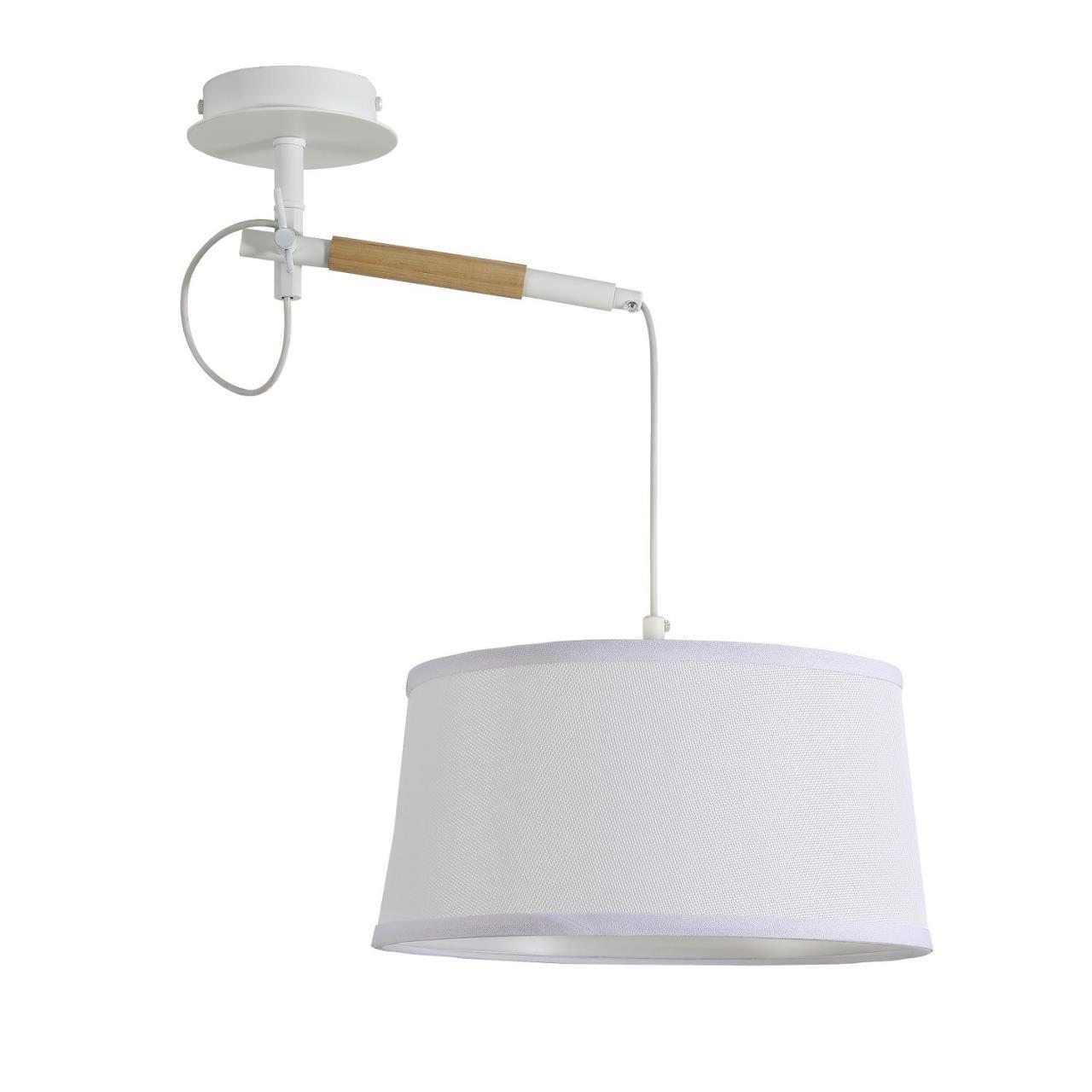 картинка Настенно-потолочный светильник Eureka 3005-1P магазин pro-decor.kz являющийся официальным дистрибьютором в Казахстане картинка Настенно-потолочный светильник Eureka 3005-1P от магазина pro-decor.kz