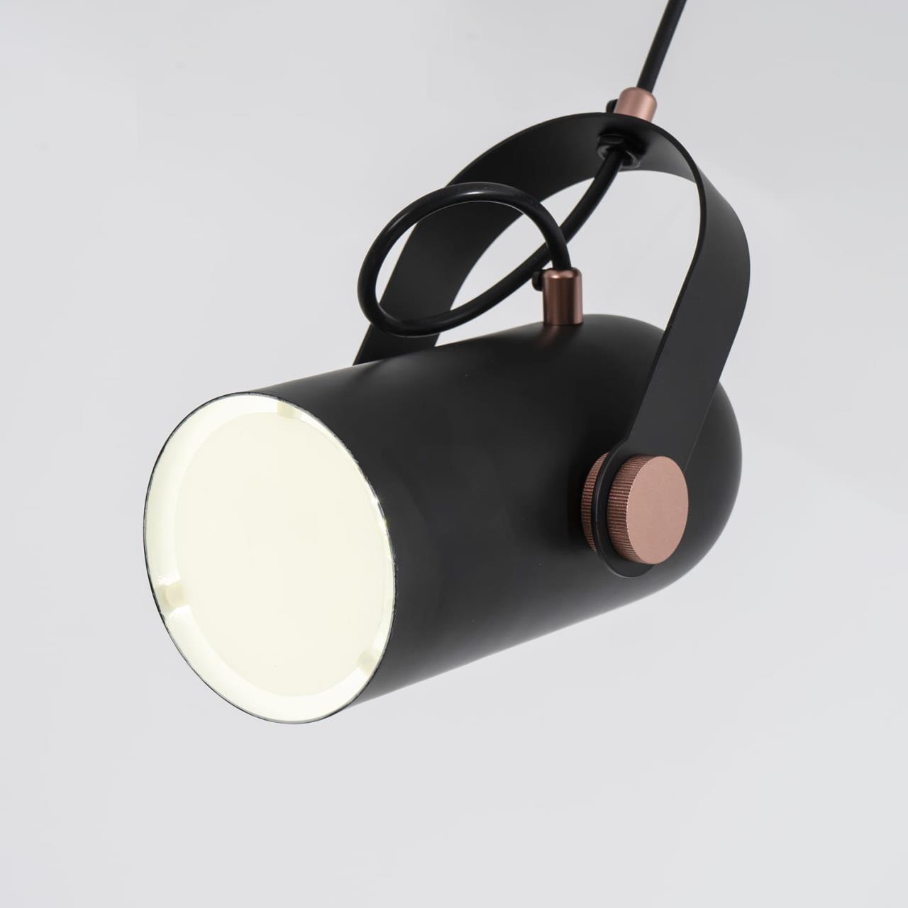 картинка Подвесной светильник Favourite Ampolla 2007-1P магазин pro-decor.kz являющийся официальным дистрибьютором в Казахстане картинка Подвесной светильник Favourite Ampolla 2007-1P от магазина pro-decor.kz