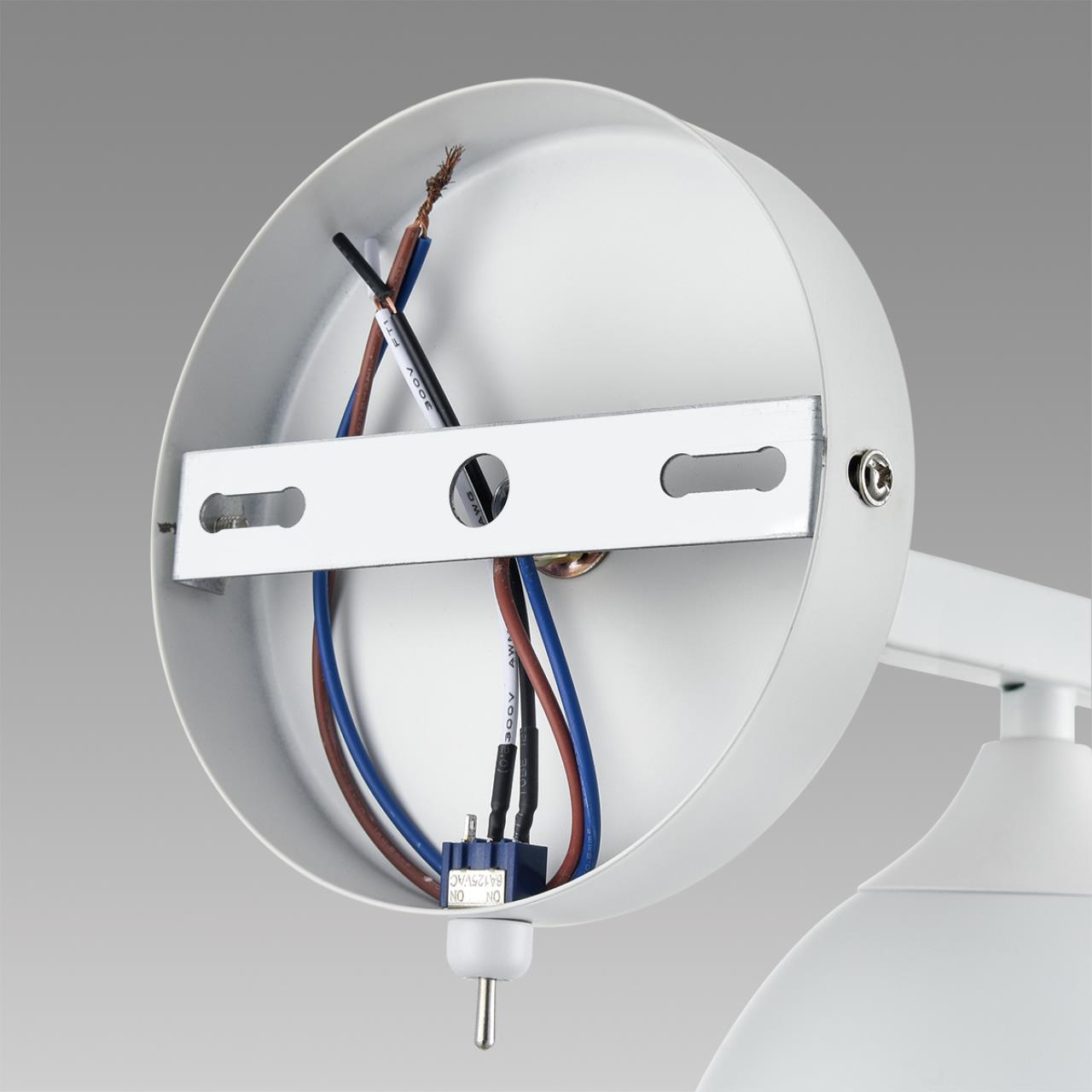 картинка 8095/1W Lumion Бра COLANGE магазин pro-decor.kz являющийся официальным дистрибьютором в Казахстане картинка 8095/1W Lumion Бра COLANGE от магазина pro-decor.kz