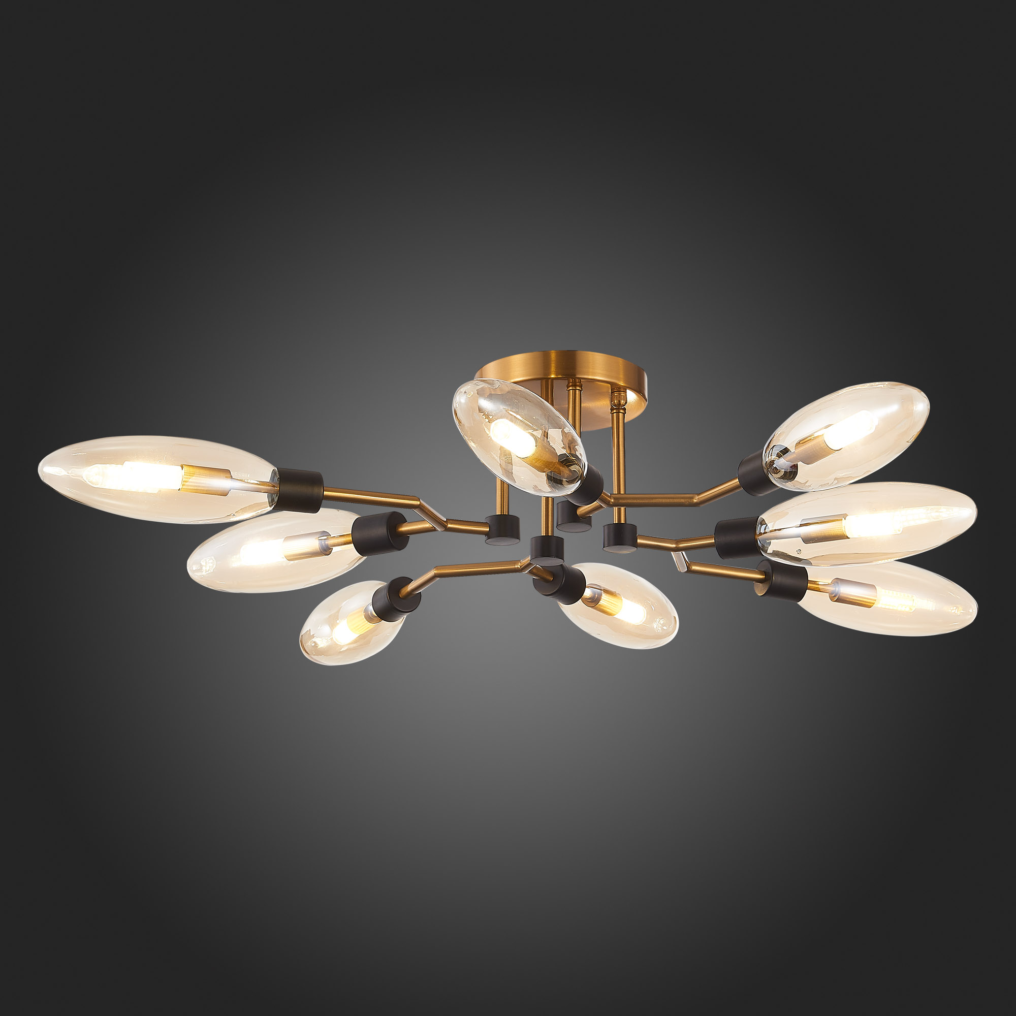 картинка Потолочная люстра ST Luce Desima SL1174.302.08 от магазина pro-decor.kz