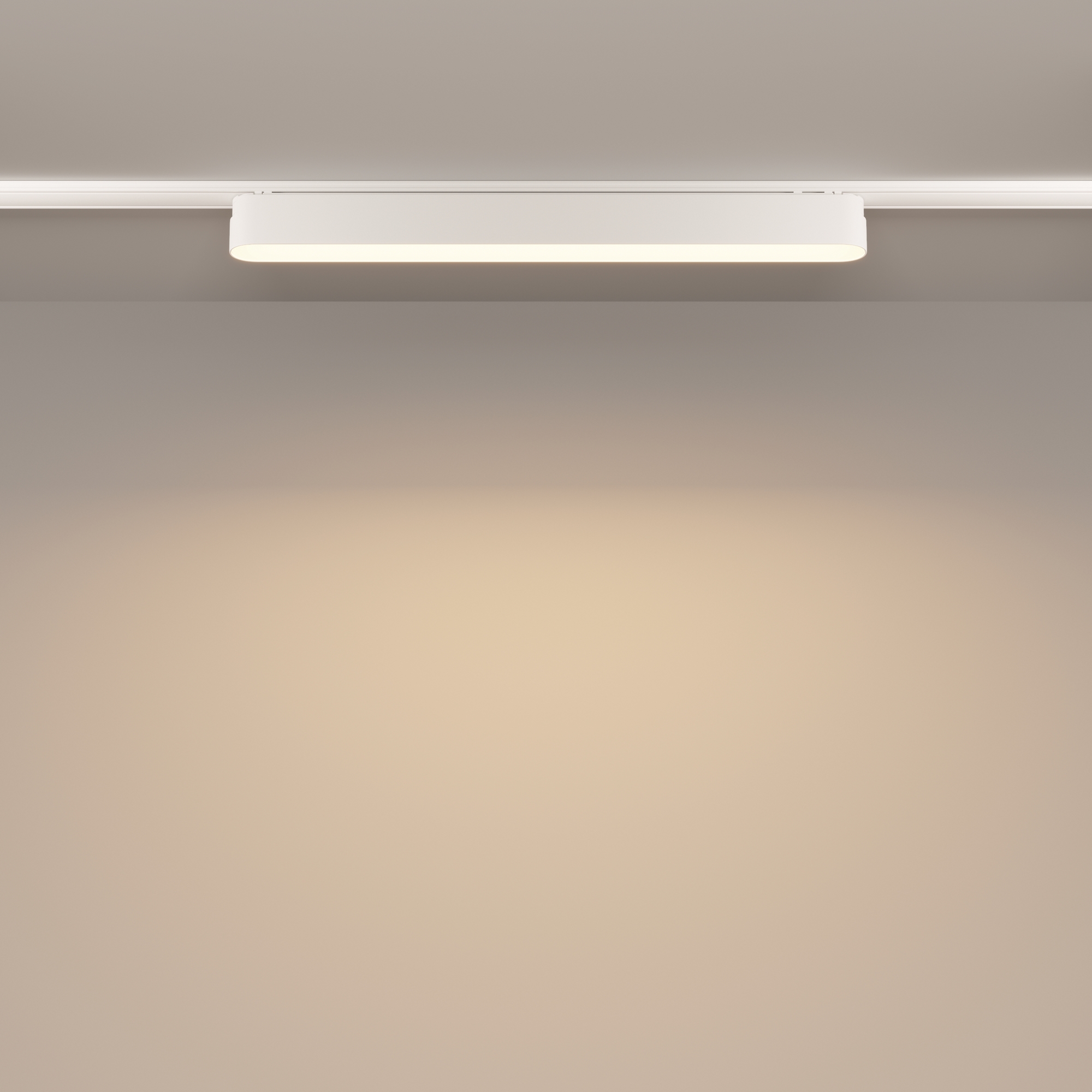картинка Трековый светильник Technical TR080-1-18W3K-W магазин pro-decor.kz являющийся официальным дистрибьютором в Казахстане картинка Трековый светильник Technical TR080-1-18W3K-W от магазина pro-decor.kz