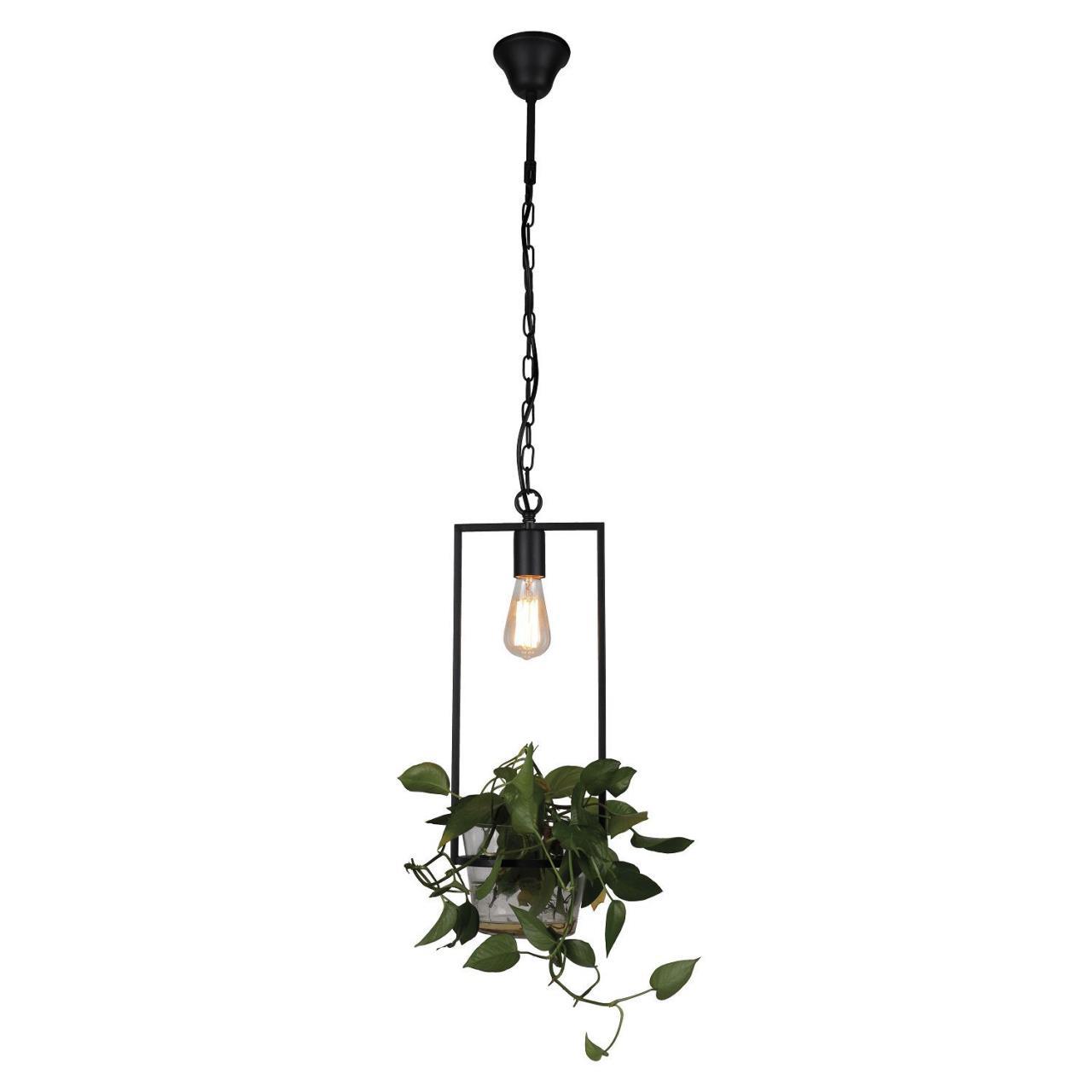 картинка Подвесной светильник Favourite Situla 1975-1P от магазина pro-decor.kz