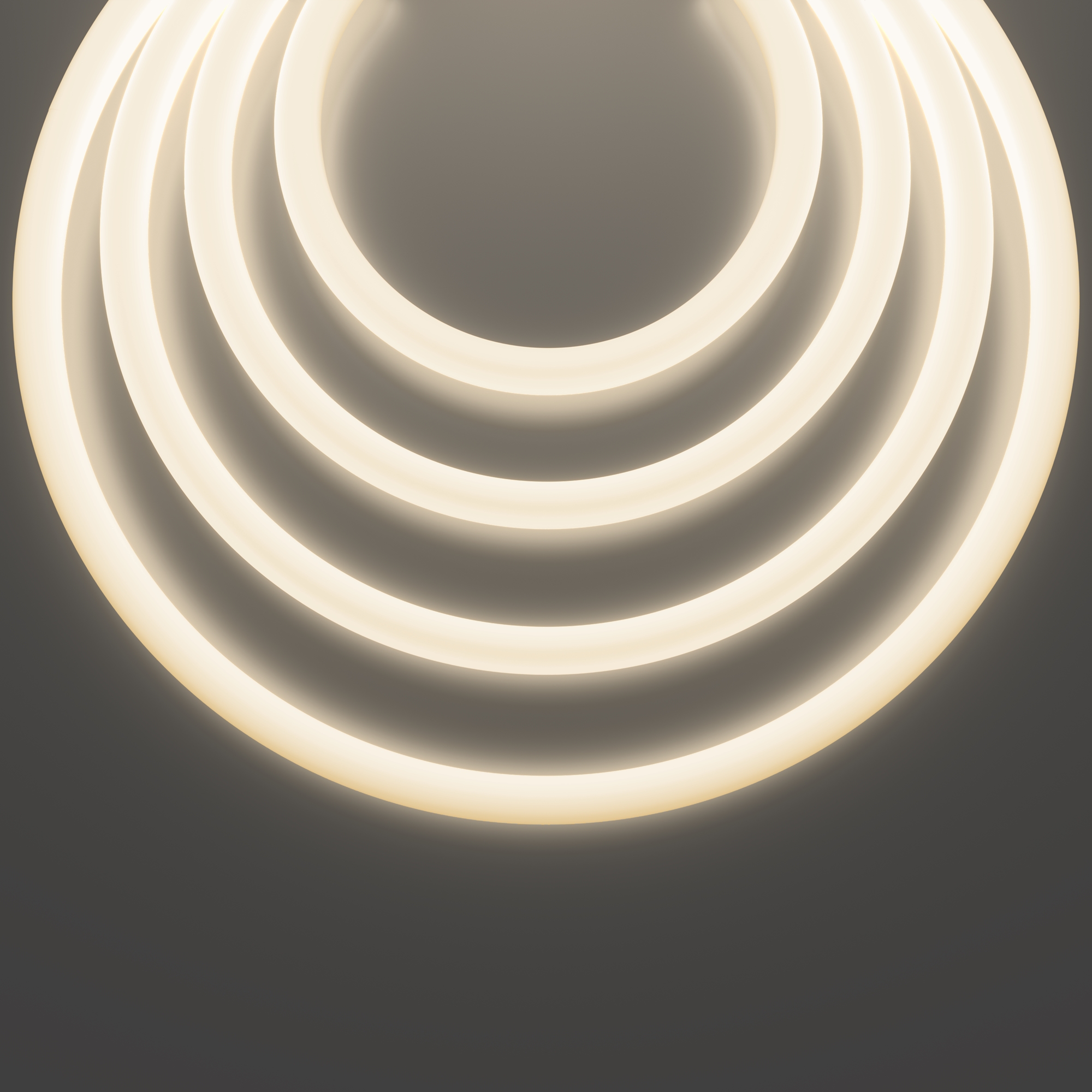 картинка Гибкий неон Led Strip 20302 от магазина pro-decor.kz